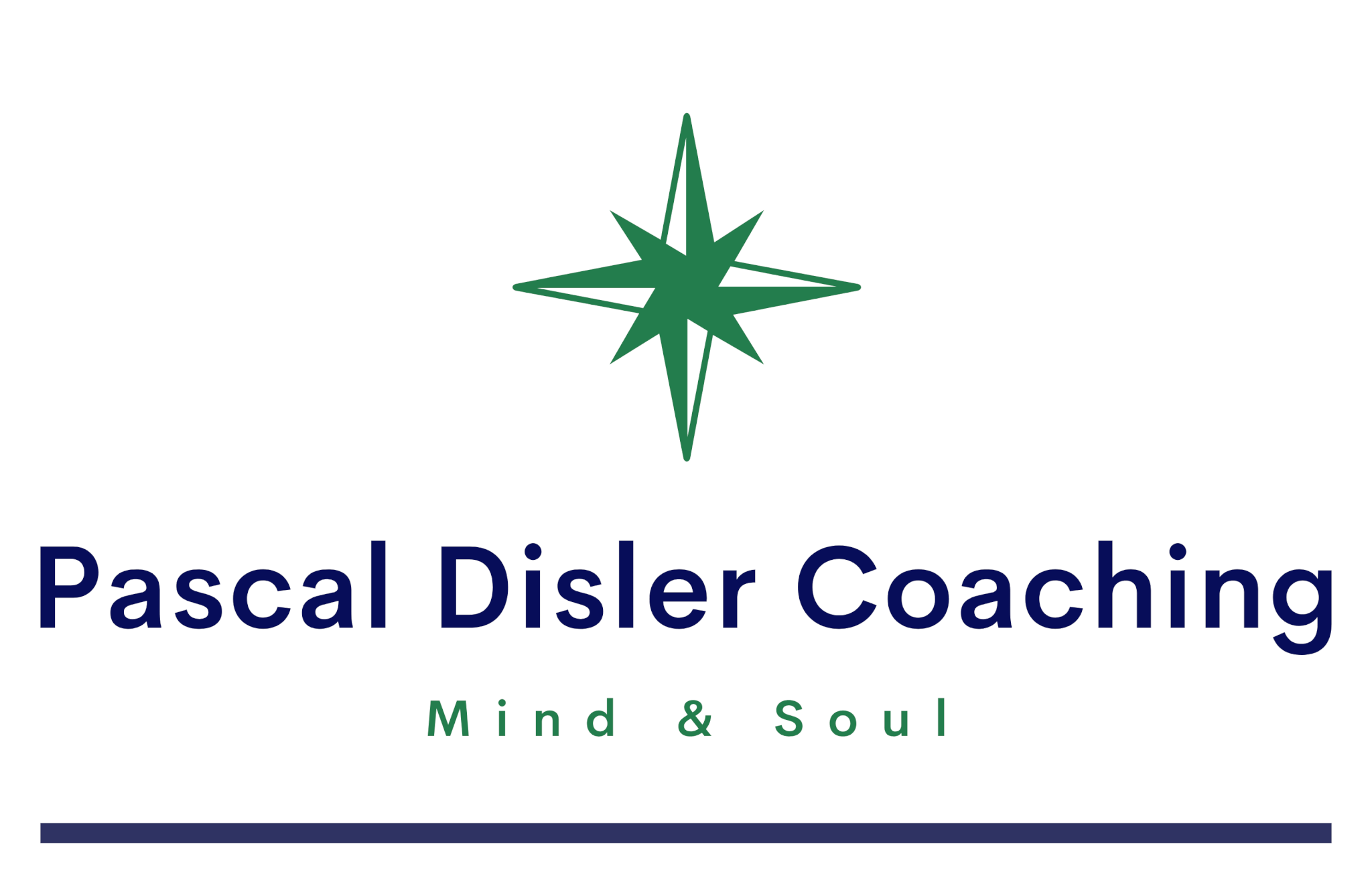 Pascal Disler Coaching - Firmenlogo